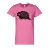 ComfortSoft® Women’s Short Sleeve T-Shirt Thumbnail