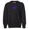 Youth EcoSmart® Crewneck Sweatshirt Thumbnail