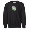 Youth EcoSmart® Crewneck Sweatshirt Thumbnail
