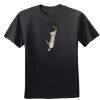 Women's Cool DRI® Performance T-Shirt Thumbnail
